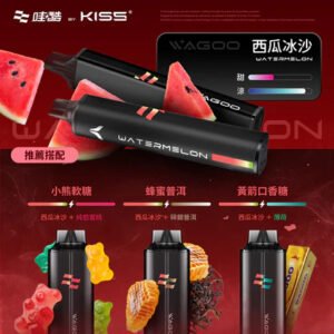 WAGOO 哇酷 6500 型 職人研發 KIS5 全密封系統 徹底終結漏油噩夢 瞬變 78 轉迷幻美學,每一口都是清亮純淨的頂級饗宴 台灣現貨